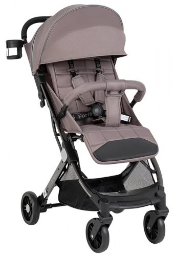 Kоляска прогулочная Farfello Comfy Go Comfort Chrome