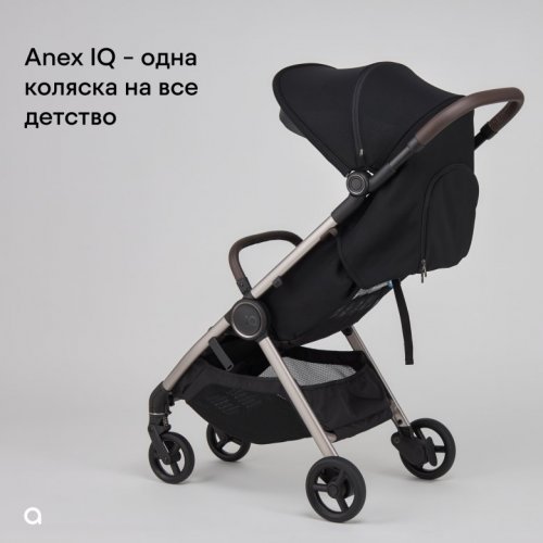 Коляска модульная 2 в 1 Anex iQ Premium (New) фото 12